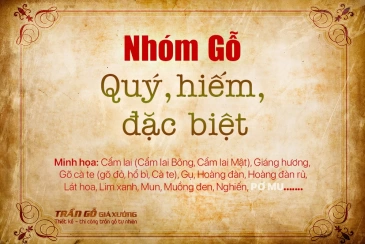 Các đặc điểm của gỗ tự nhiên