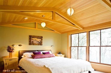 Trần cấp hộp - mã số: TH-16P