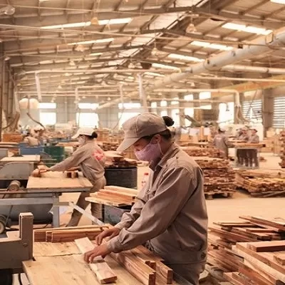 Xưởng đầy đủ máy thi công